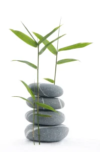 stones stacks with two leafy stems either side